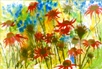 30 - Echinaceas - Watercolour - Diane Poole.JPG